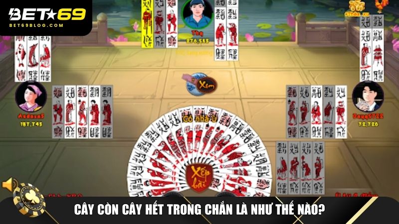 Hiểu rõ khái niệm cây còn cây hết trong Chắn