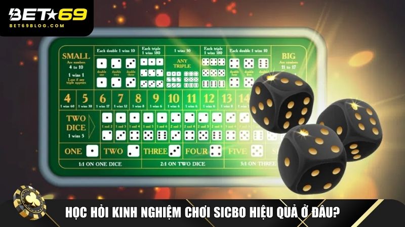 Học hỏi kinh nghiệm chơi sicbo mỗi ngày
